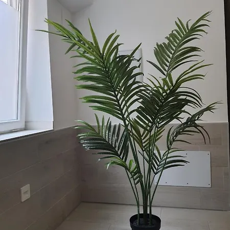 Apartment Hermoso Piso A 3 Min De La Estacion De Bus Y Tren Ave *